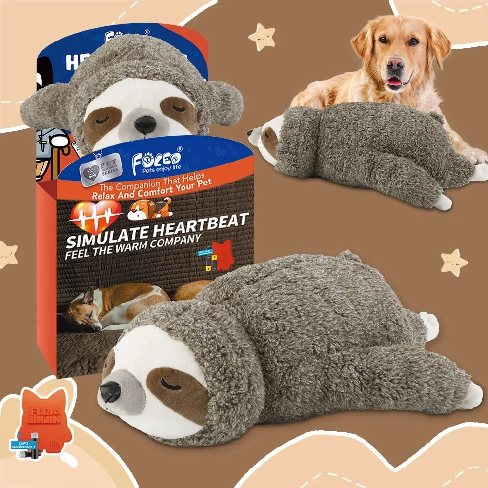 Comfort Companion