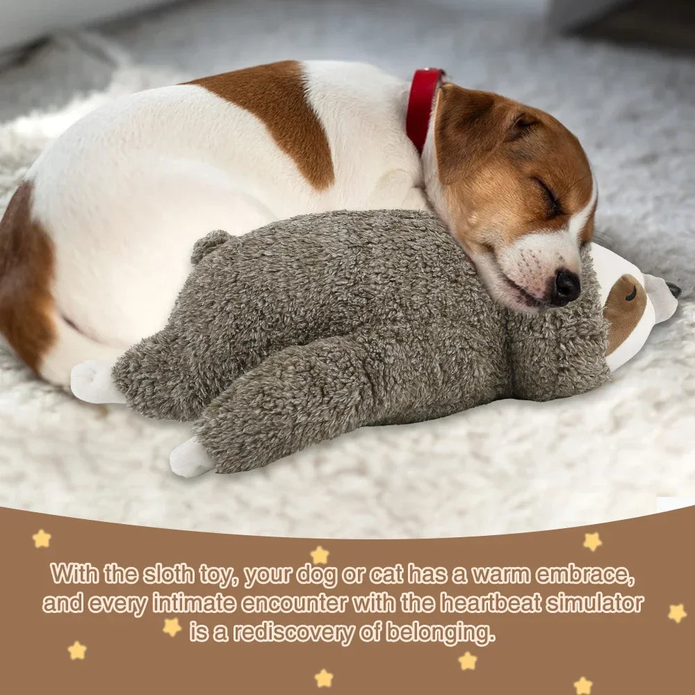 Comfort Companion