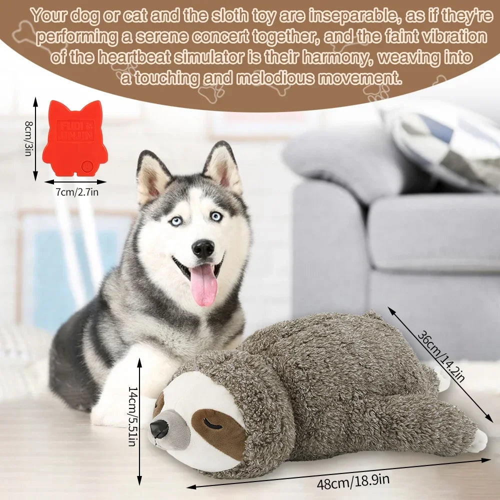 Comfort Companion
